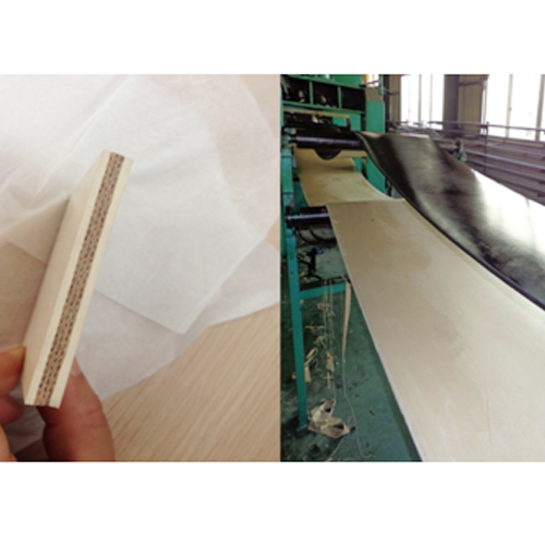 White Color Rubber Conveyor Belt